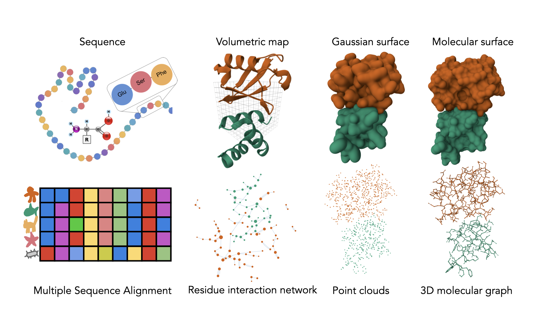 Protein Representation Learning - Yasser Mohseni